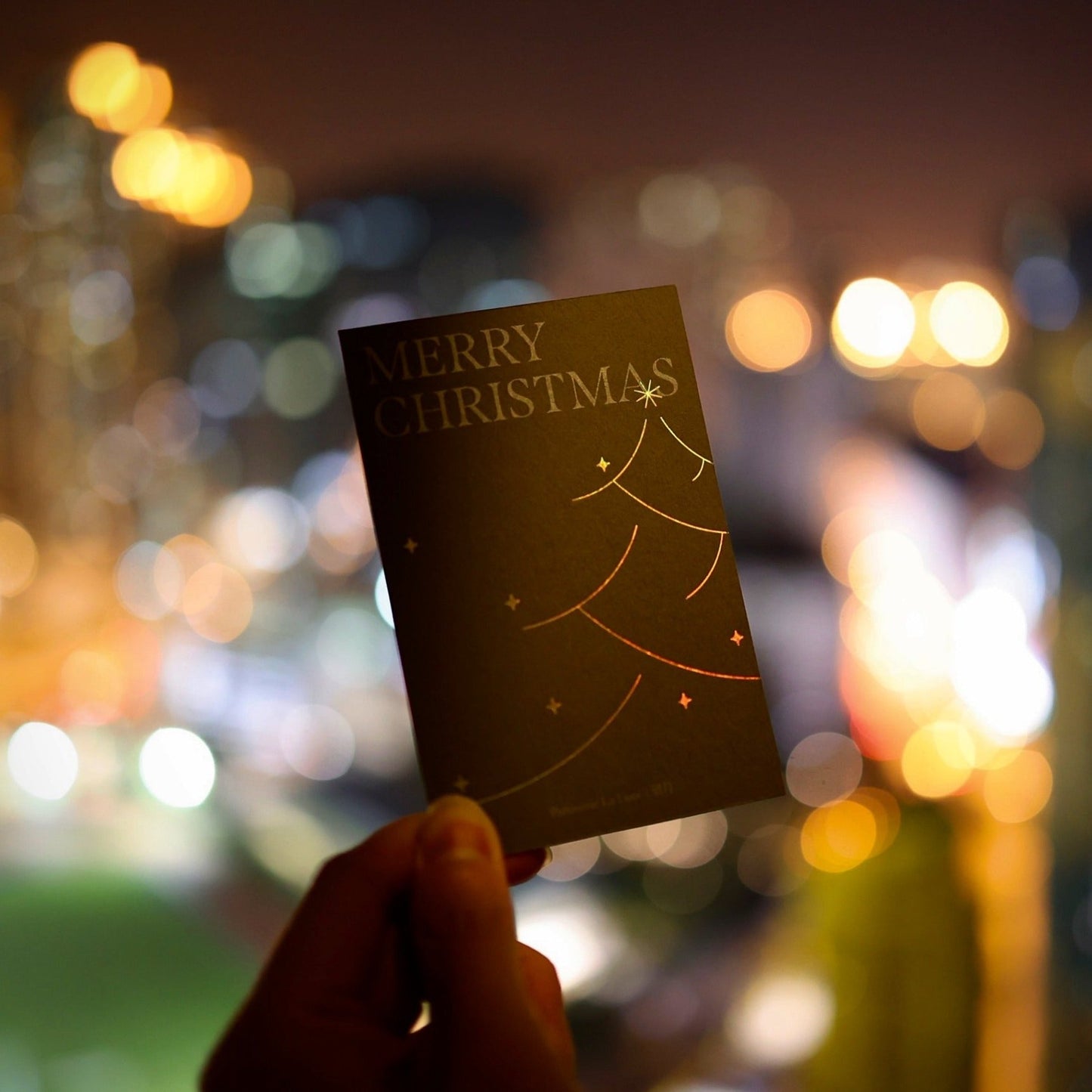 一口曲奇禮盒🎄 (聖誕特別版) (72件)-Test